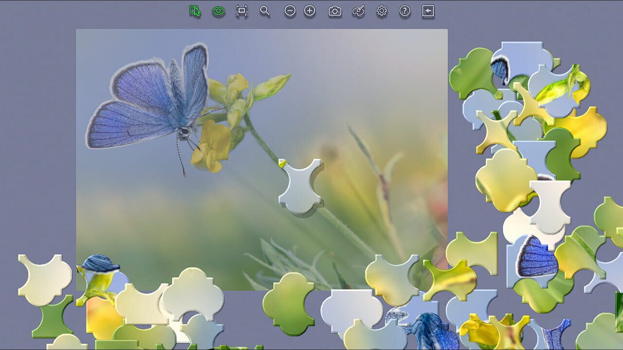 Master of Pieces: Jigsaw Puzzles Image