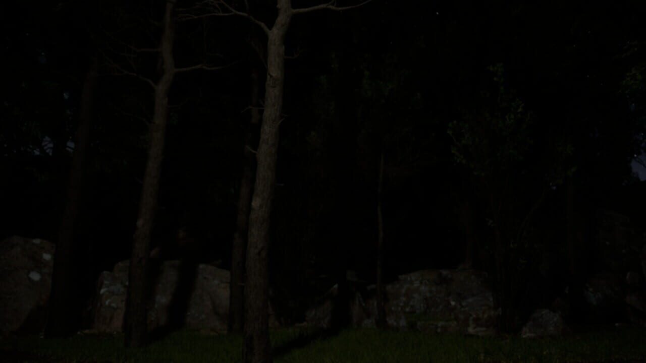 The Shadows Within: Nightmare's Game Image