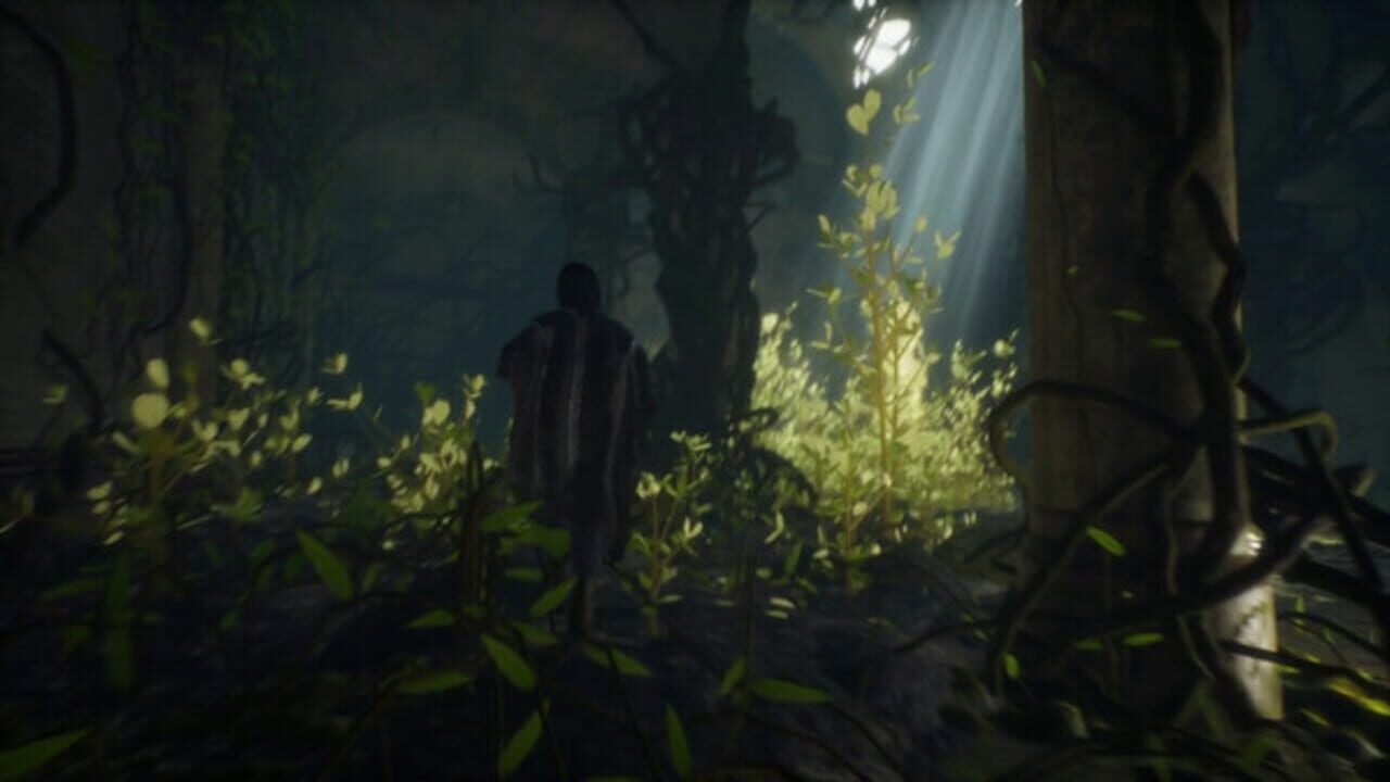 Curilemu screenshot 7