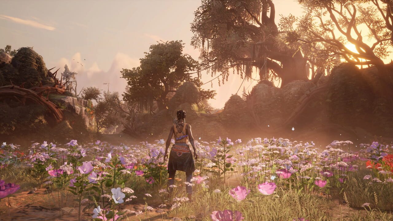 South of Midnight Image