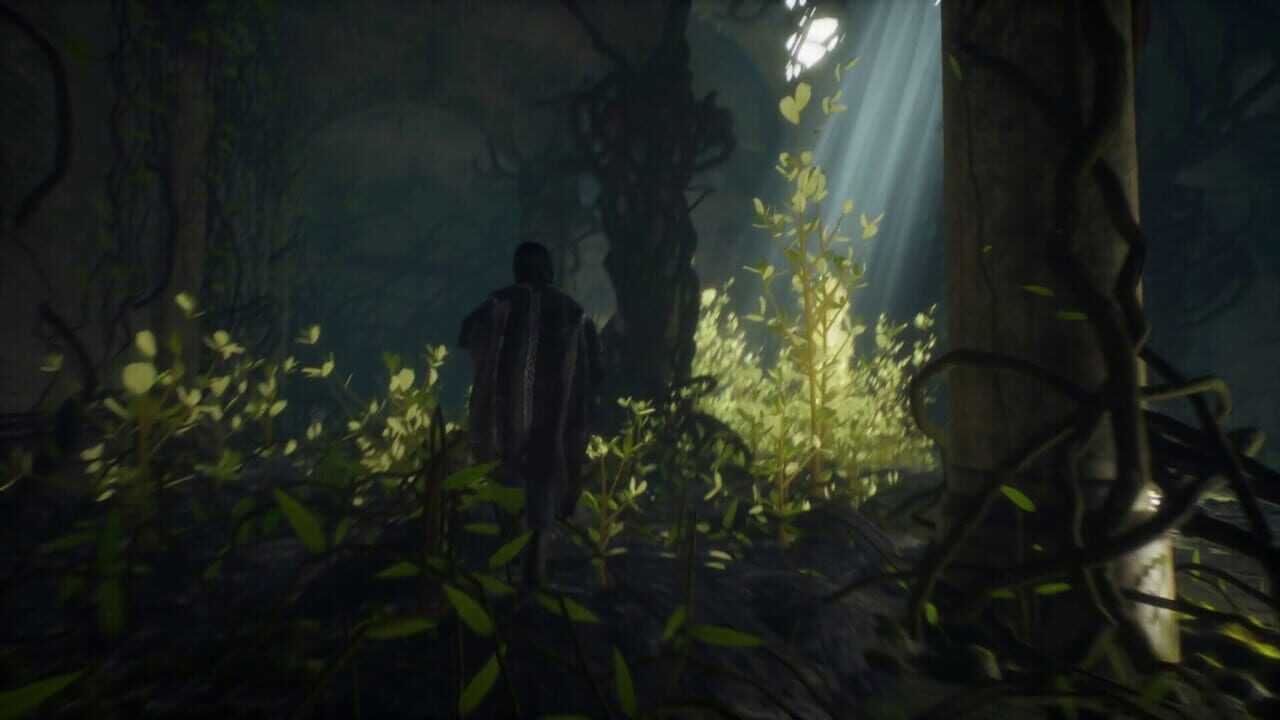 Curilemu screenshot 10