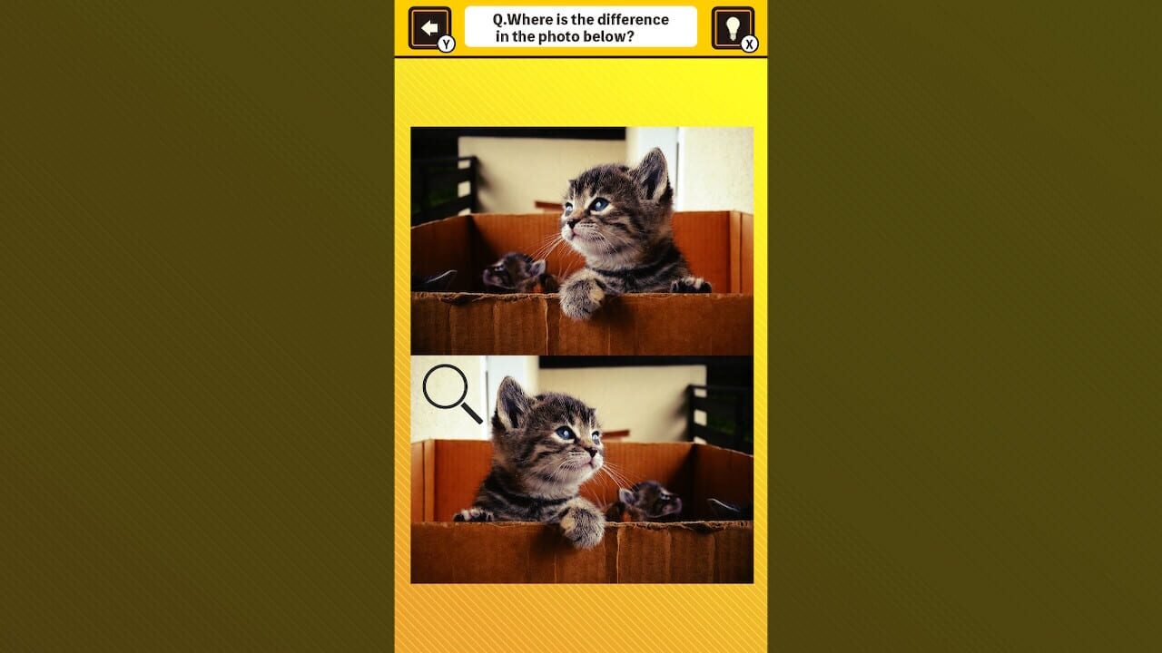 Train Your Brain! Spot the Difference with Cat Photos Image