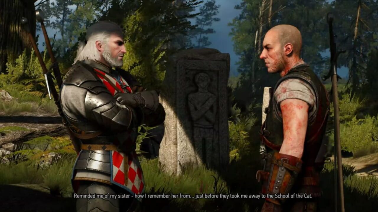 The Witcher 3: Wild Hunt - New Quest 'Where the Cat and Wolf Play...' Image