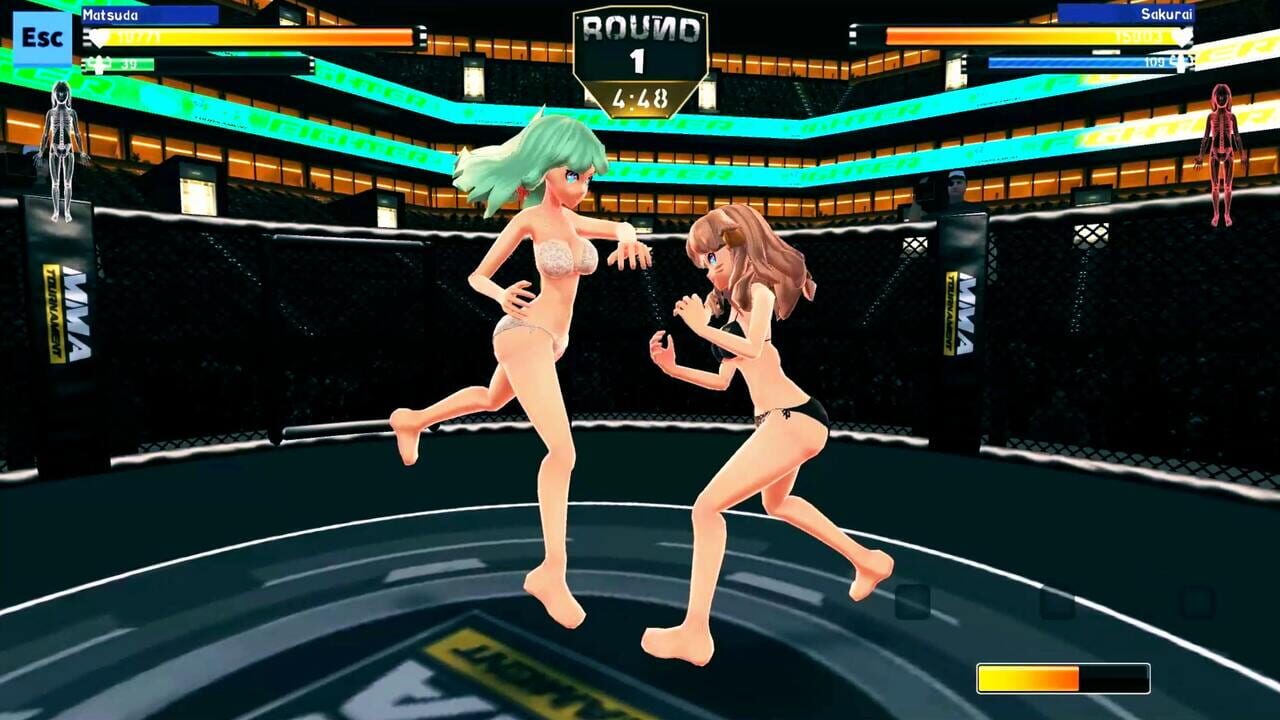 Anime Girls: MMA Tournament Image