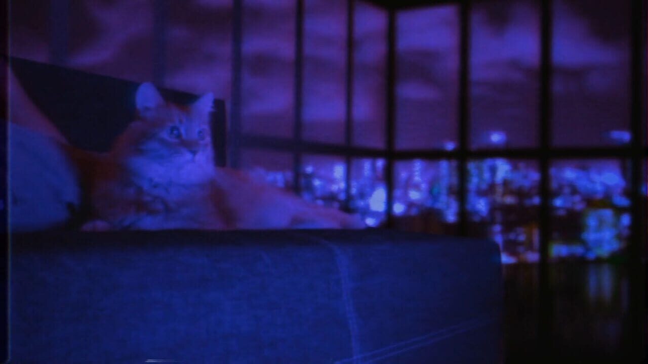 Puss! Image