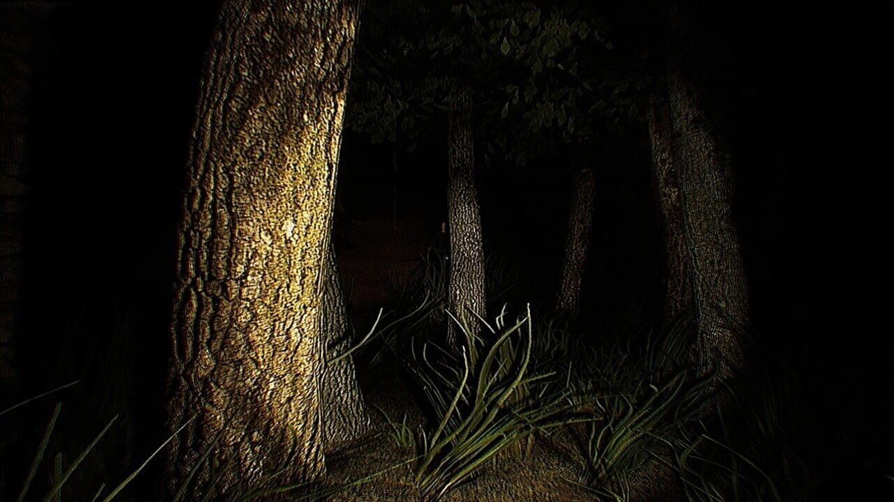 Agora Project — Screenshot 4