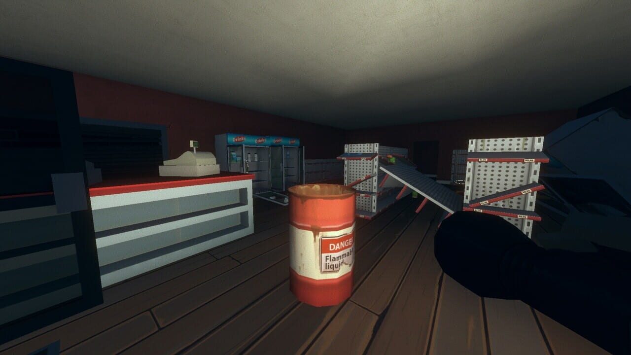 Screenshot 13