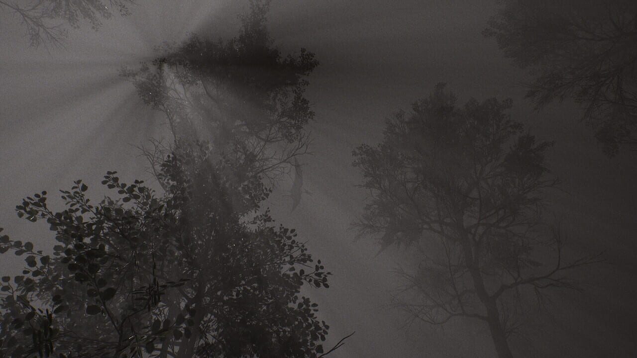 Tempus Triad Image