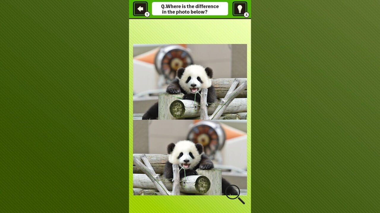 Super Kawaii! Finding Mistakes in Panda Photos Image