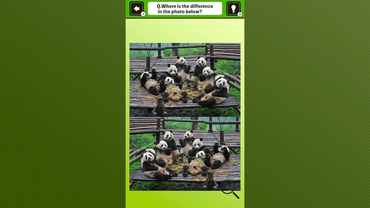 Super Kawaii! Finding Mistakes in Panda Photos Image