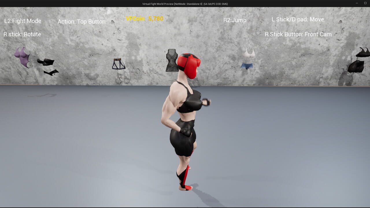 Virtual Fight World Image