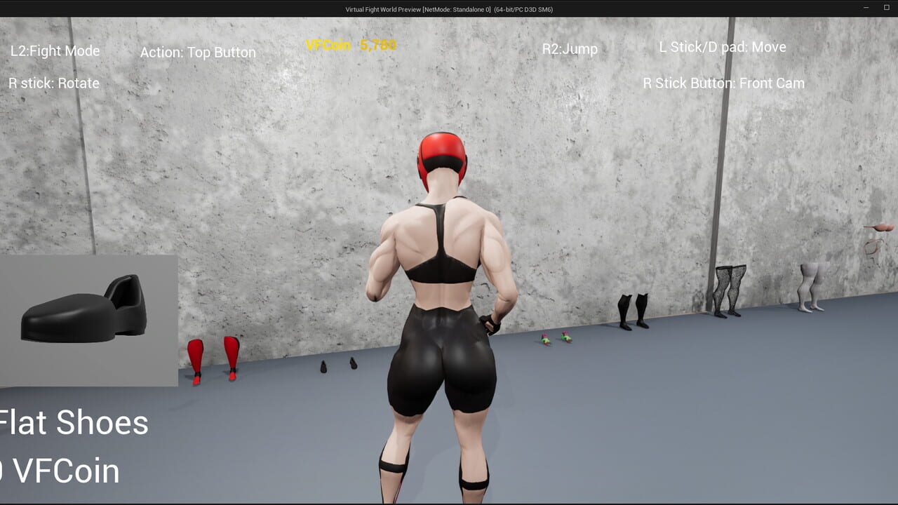 Virtual Fight World Image