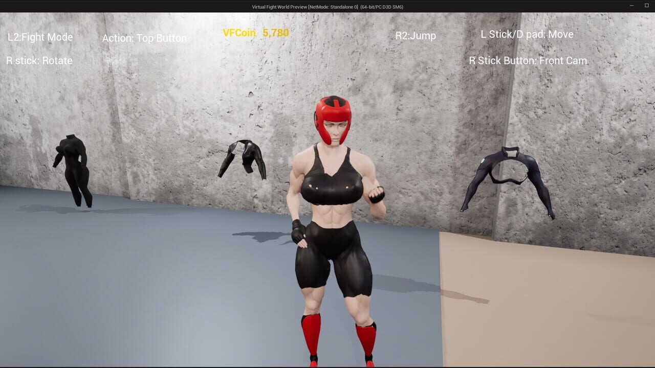 Virtual Fight World Image