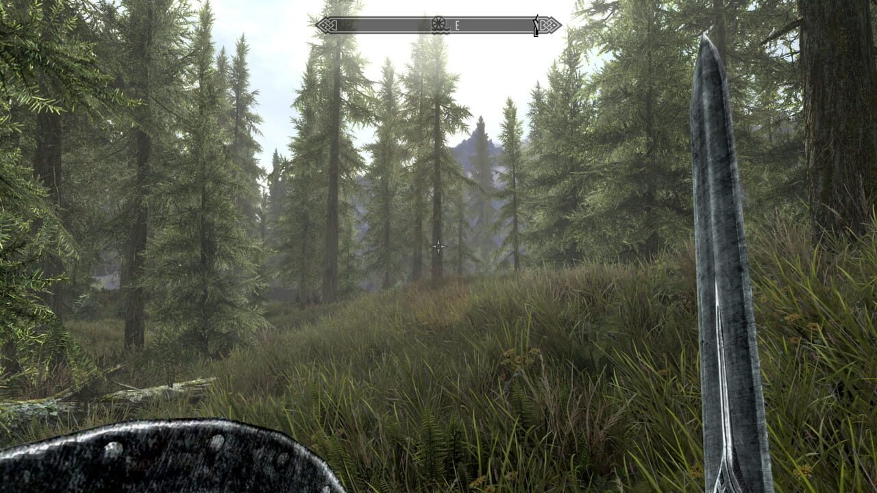 The Elder Scrolls V: Skyrim Image