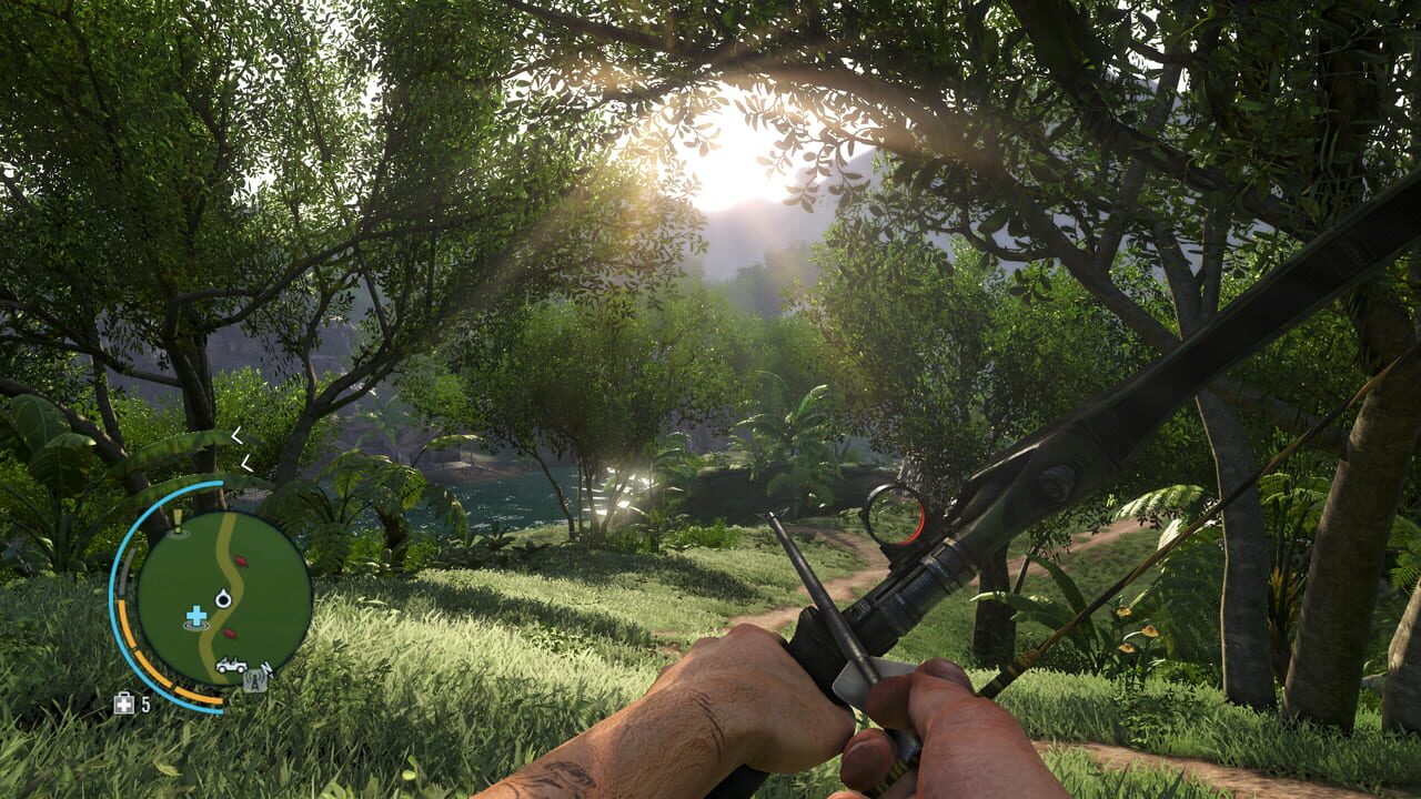 Far Cry 3 Image