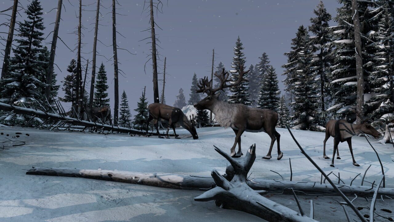 DayZ: Frostline Image