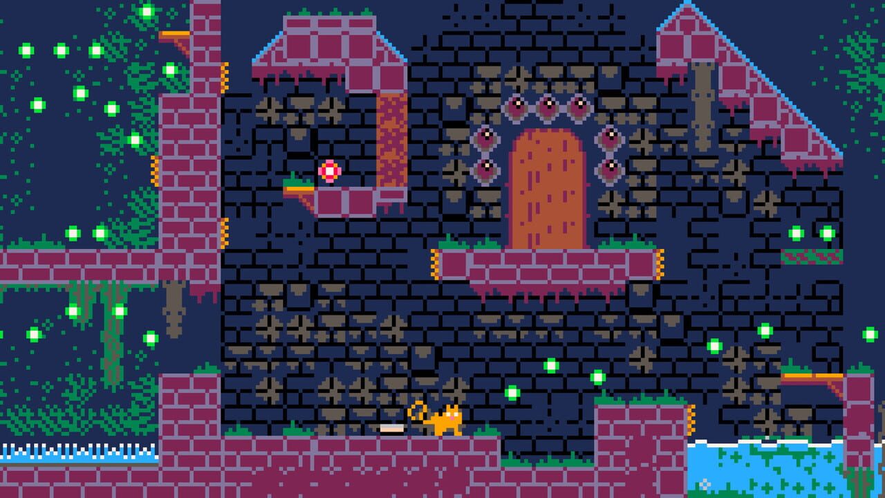 Zebulon: A Lost Cat Image