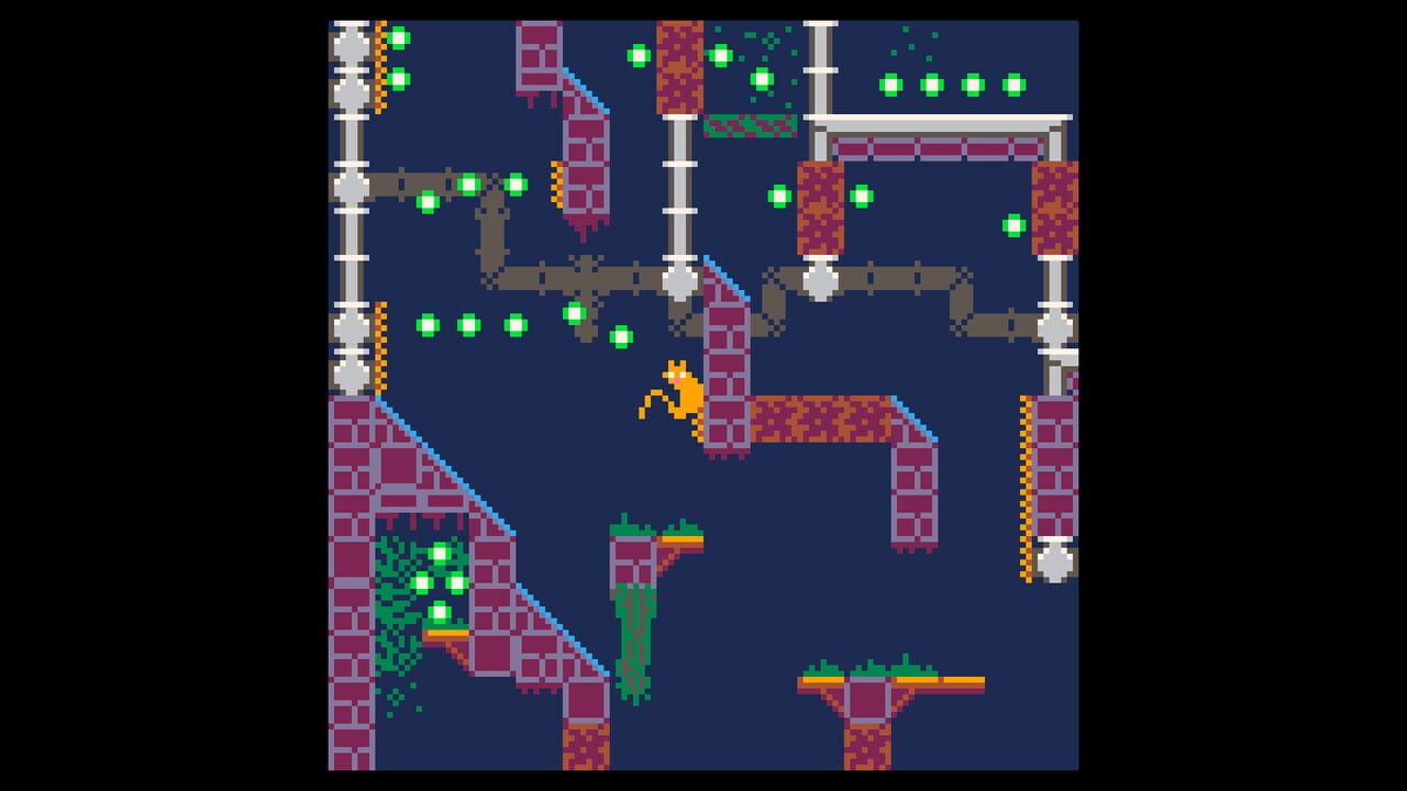 Zebulon: A Lost Cat Image