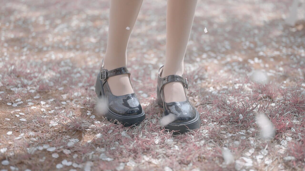 Yixin Image