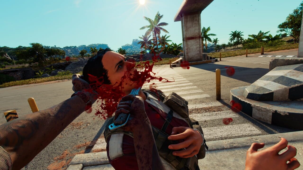 Far Cry 6 Image