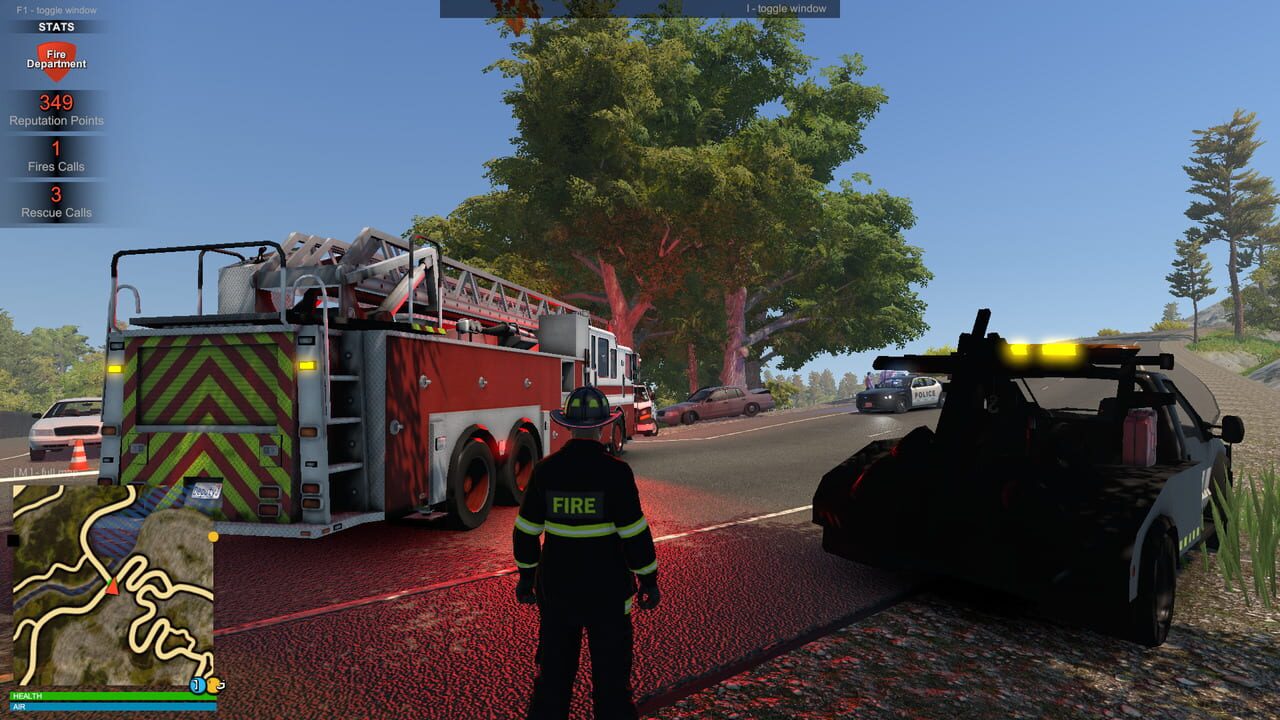 Flashing Lights: Police Fire EMS Image
