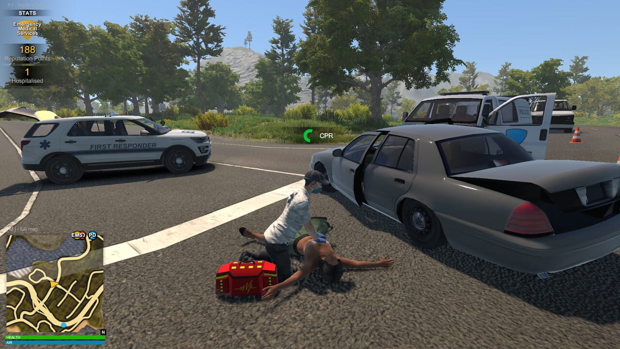 Flashing Lights: Police Fire EMS Image