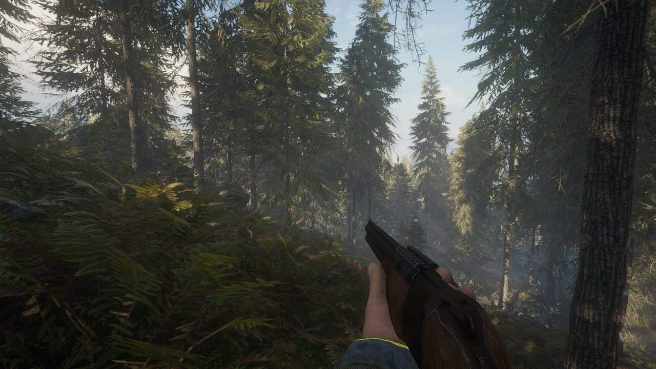 TheHunter: Call of the Wild Image