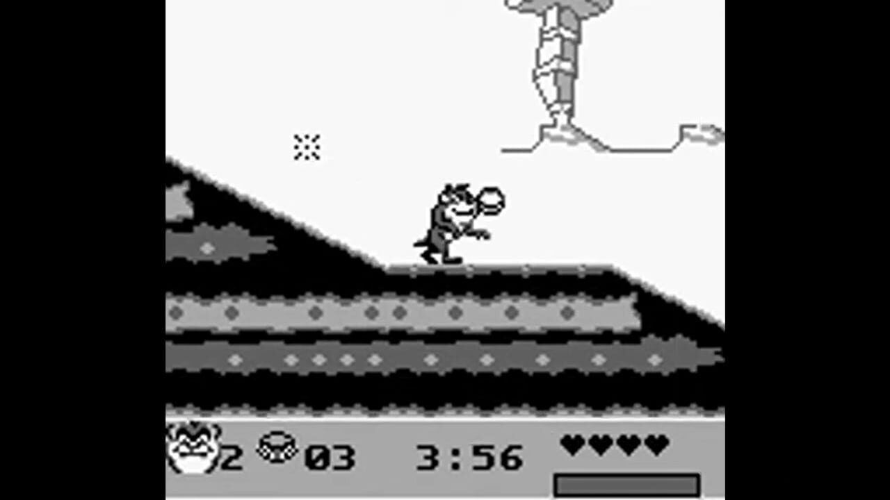 Taz-Mania 2 Image