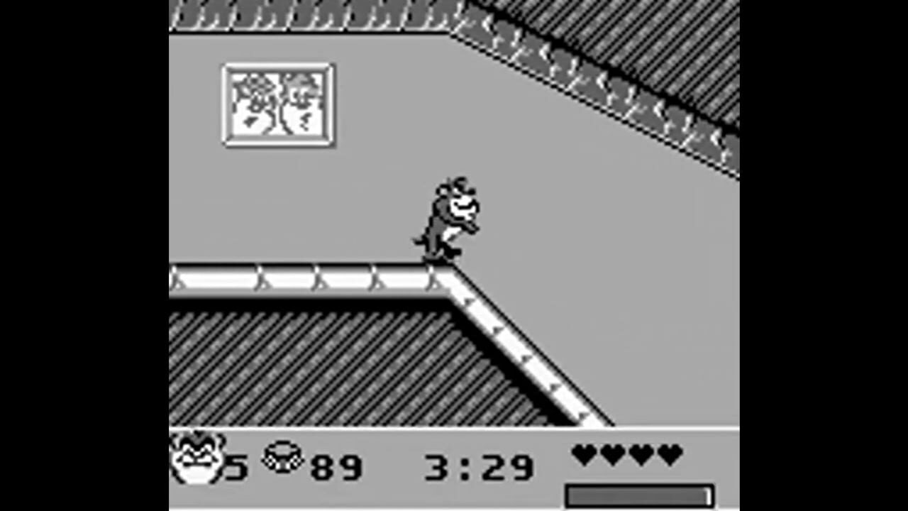 Taz-Mania 2 Image
