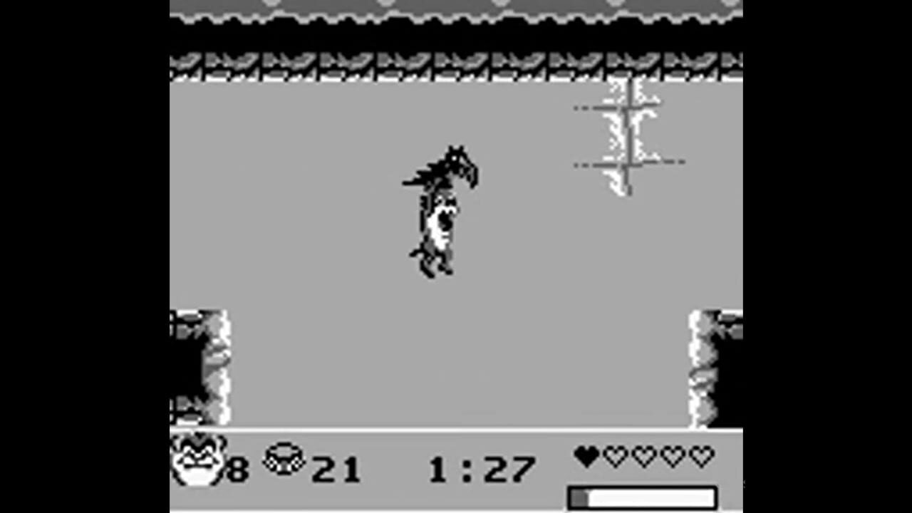Taz-Mania 2 Image
