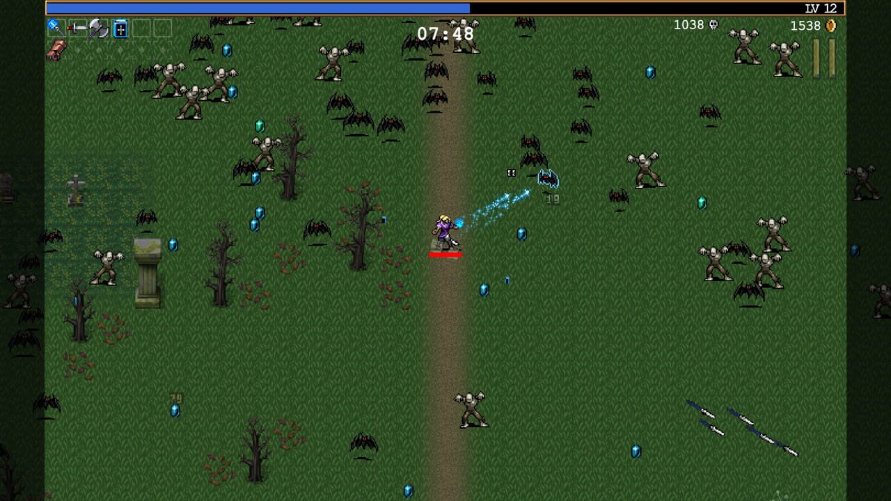 Vampire Survivors Image