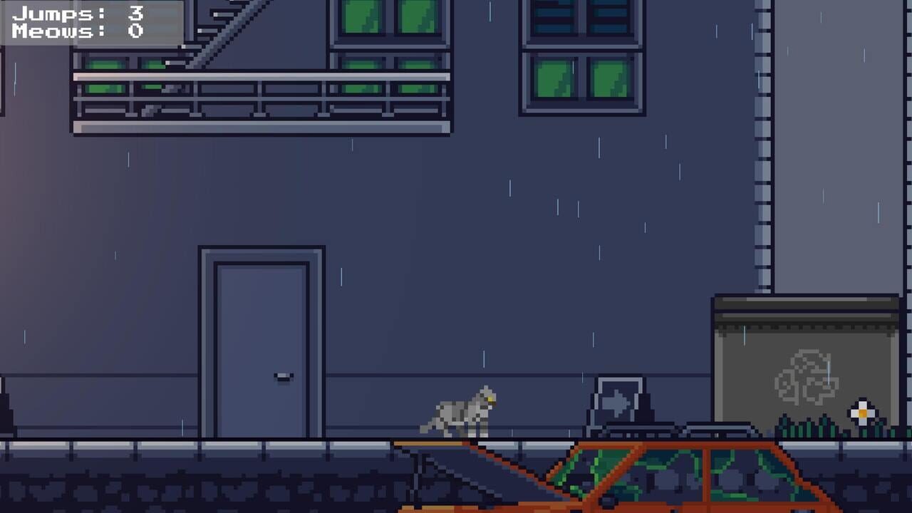 Rooftop Rascal: The Drizzle Cat Image