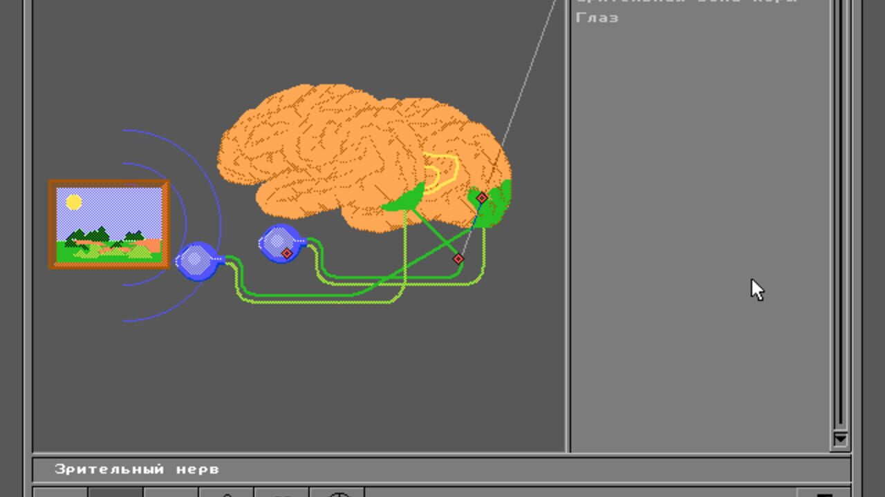 Body Quest — Screenshot 5