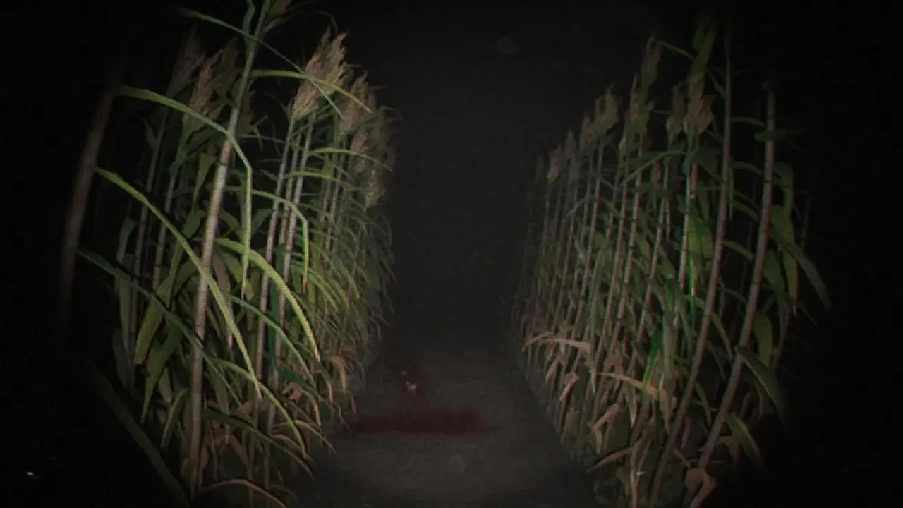 Unknown Tapes banner