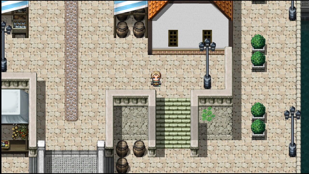 Pawelek the Game. Image