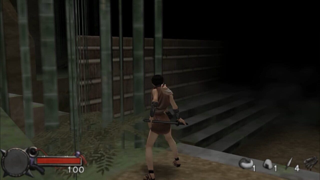 Tenchu: Time Of The Assassins Image