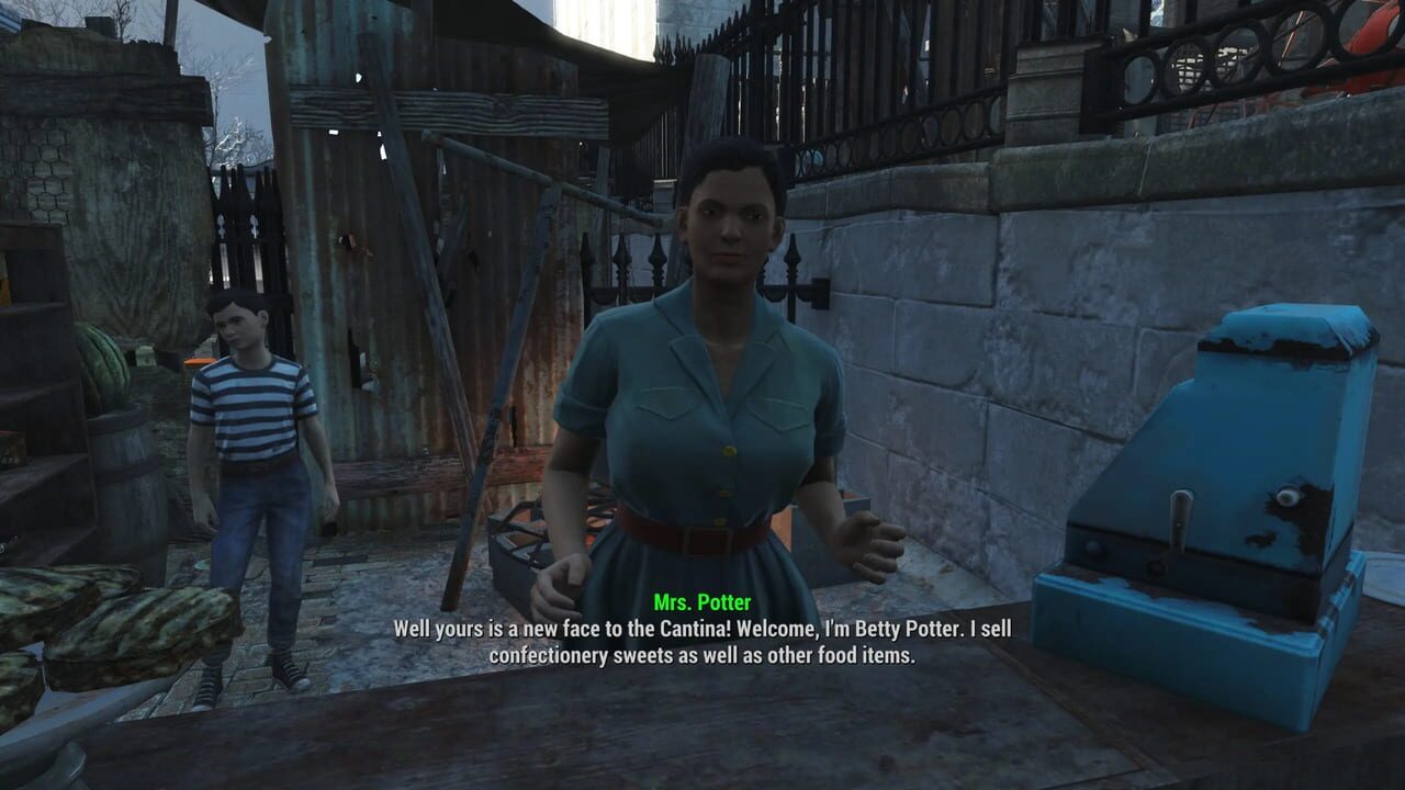 Fallout: Empire Wastes Image