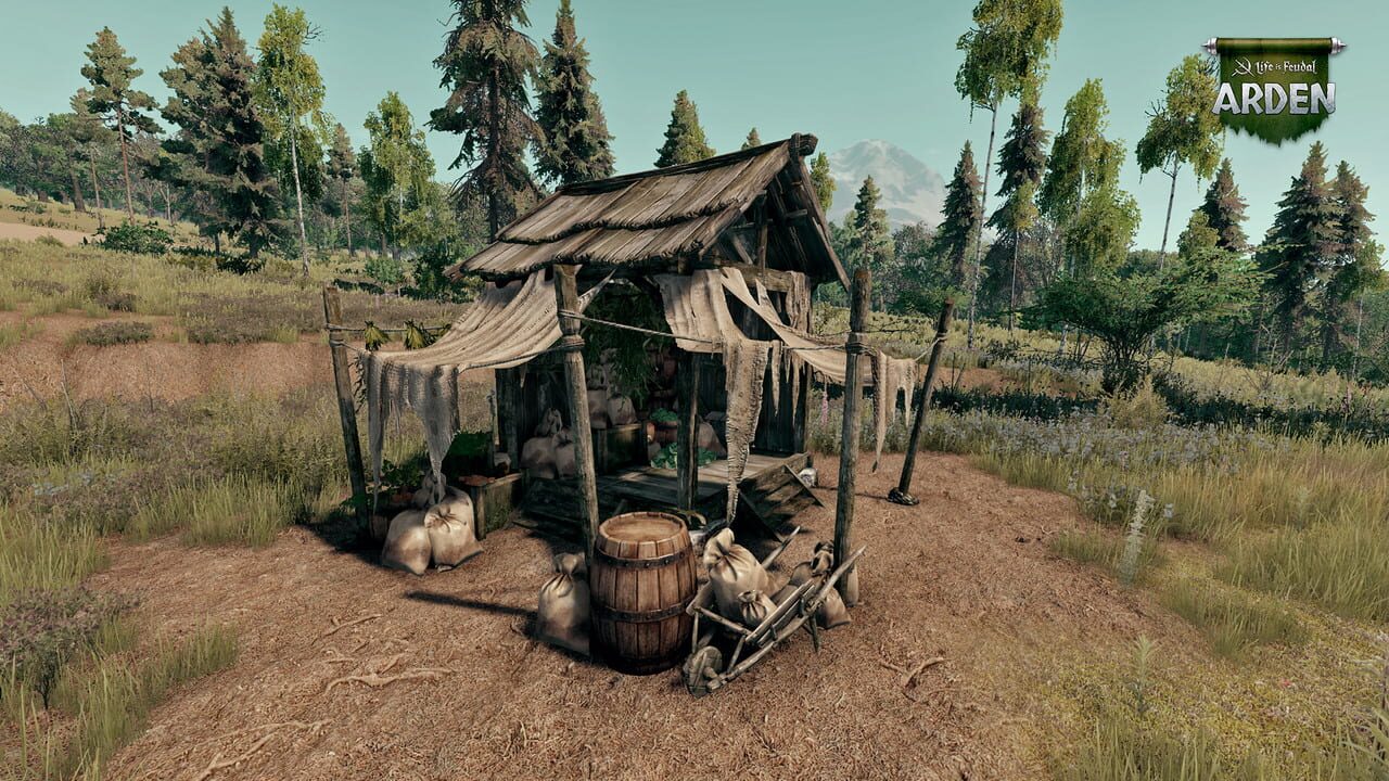 Life is Feudal: Arden Image