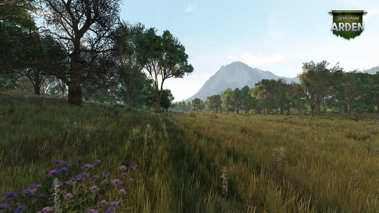 Life is Feudal: Arden Image