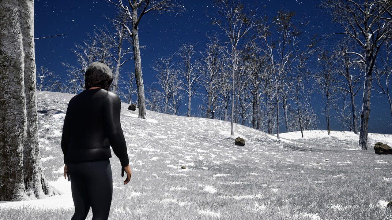 Elemental Seasons Image