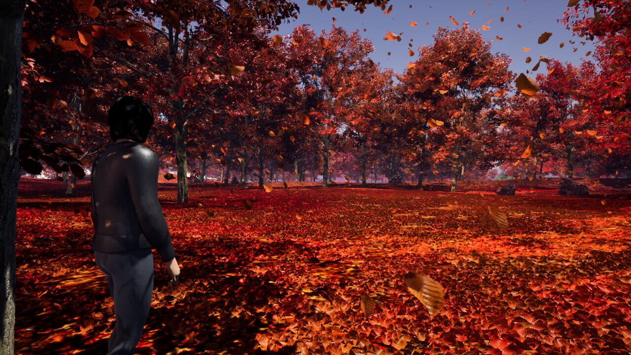 Elemental Seasons Image