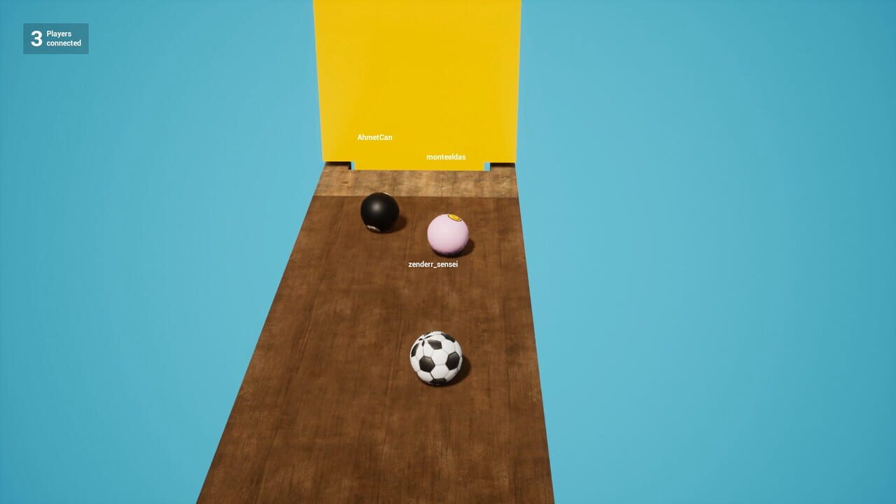 Ball Race Party Image