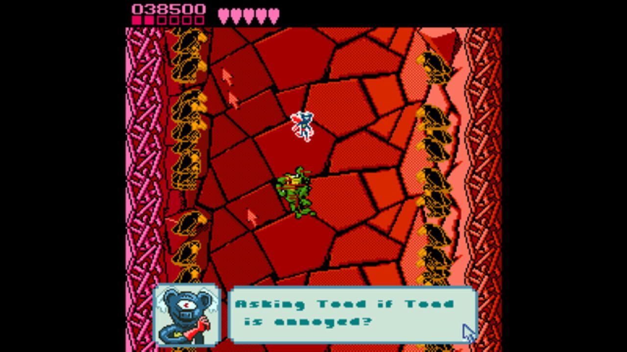 Pause Screen From Battletoads — Screenshot 3