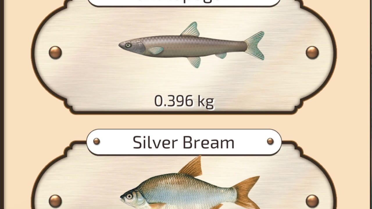 Let's Fish Image