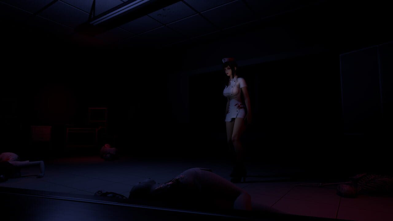 Ruined Nurse Image