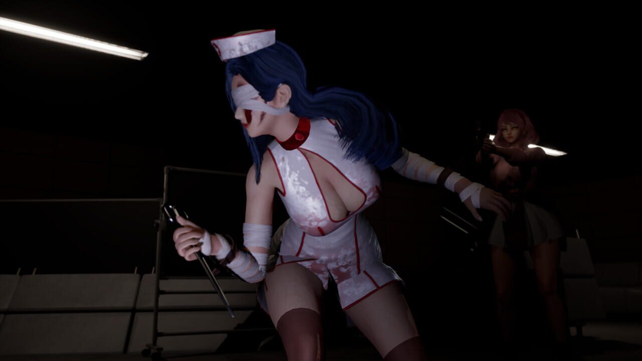 Ruined Nurse Image