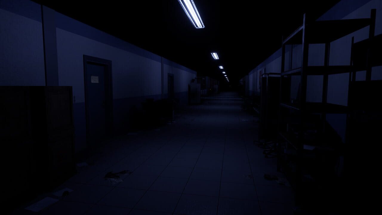 Ruined Nurse Image