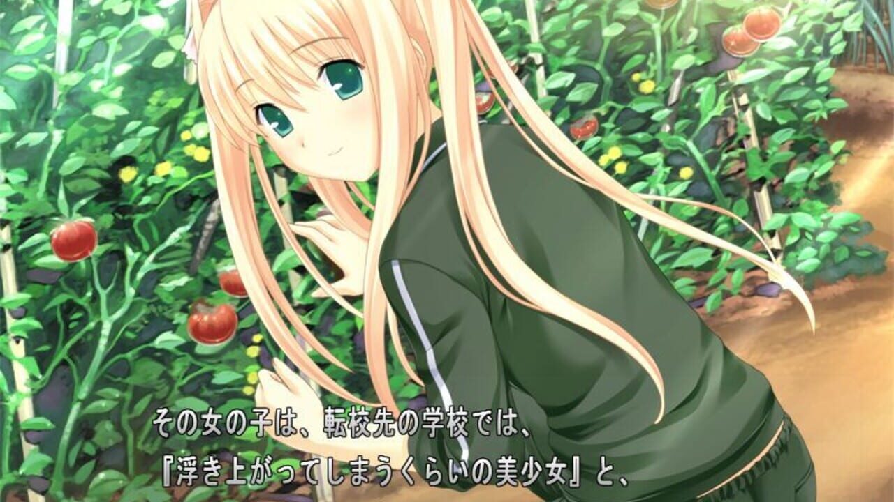 Kono Aozora ni Yakusoku wo — Screenshot 2