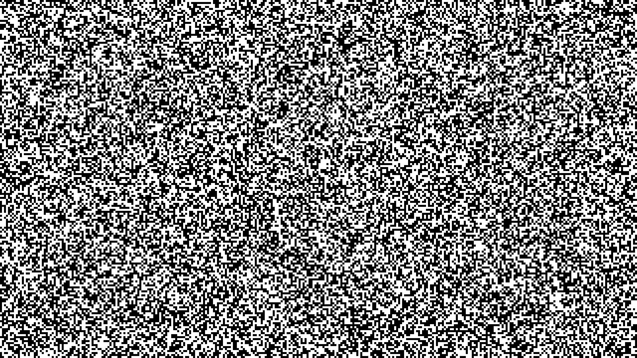 Motus Image