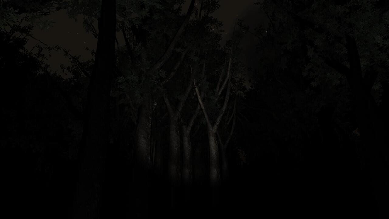 Slender: The Eight Pages miniatura 7